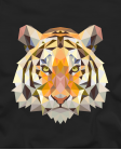 Tigras